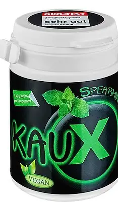 kauX Xylitol Zahnpflege-Kaugummi ohne Aspartam, Spearmint (60g=40 Stück pro Dose)