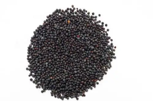Schwarze Senfsamen - 200 g