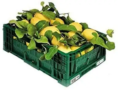 4,5 KG - ZITRONEN NICHT BEHANDELT - Garantiertes Schalen-essbares - Giardino Digitale - Produkte in Kalabrien - ITALIEN (4.5)