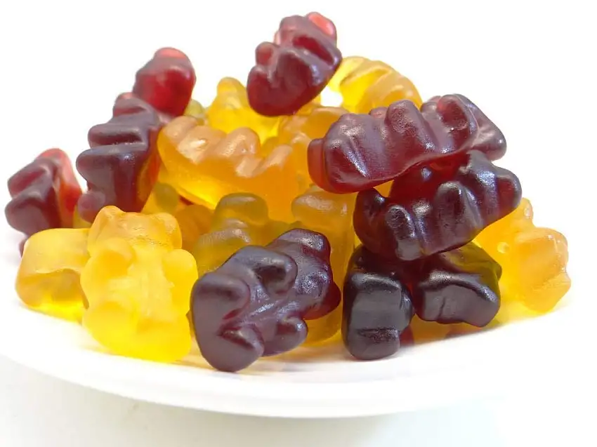 pikantum Bio Fruchtbärchen | 1kg | vegan | ohne Gelantine | produziert in Deutschland