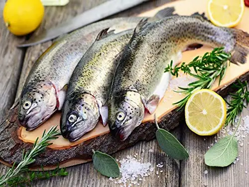 Klaassen Forelle, frische Forellen, küchenfertig, vakuumiert, 1000g (3-4 Stück)