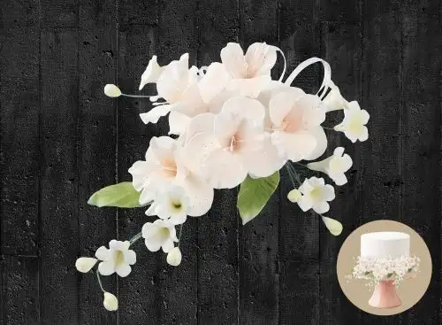Cake Company Zuckerblumenboquet Orchidee pfirsich 1er Pack (1 x 55 g)