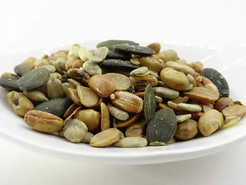 pikantum Bio Knabber-Mix | 500g | vegan | hoher Protein- und Ballaststoffgehalt