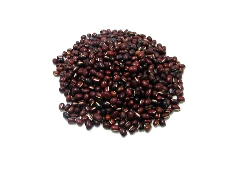 Azuki Bohnen (Red Chori) - 1,5kg