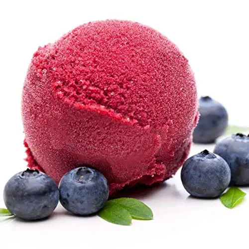 Heidelbeer Geschmack Eispulver VEGAN - OHNE ZUCKER - LAKTOSEFREI - GLUTENFREI - FETTARM, auch für Diabetiker Milcheis Softeispulver Speiseeispulver Gino Gelati (Heidelbeer, 1 kg)