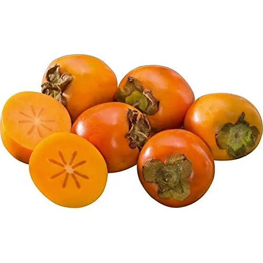 Persimone, Stück