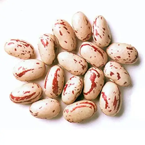 Rosecoco-Bohnen (Wachtelbohnen) - 500 g