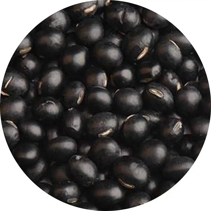 Glorious Inheriting Einzelhandel Schwarze Sojabohne mit gelbem Kernel Allgemeine Grosse mit Netzbeutel von 500 gramm