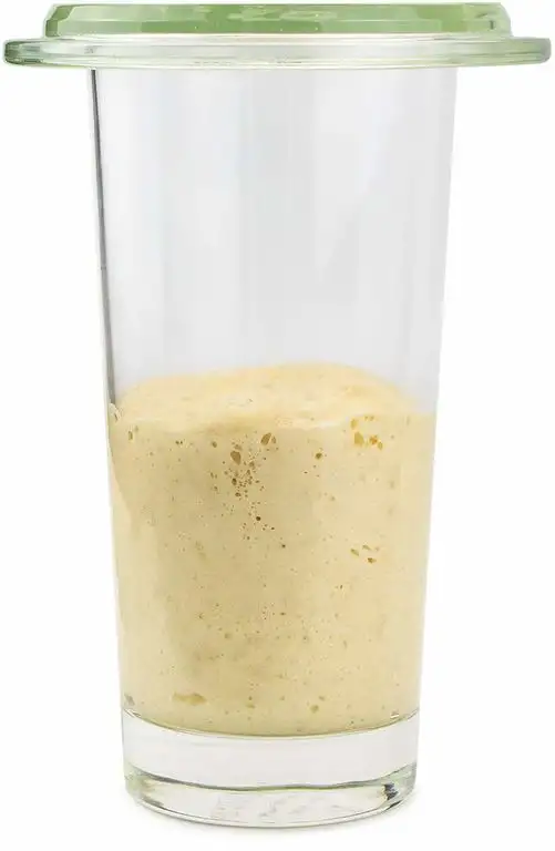 Bio Lievito Madre 200 g | triebstarker Weizensauerteig zum Backen ohne Hefe | frisches Anstellgut direkt vom Demeter Bäcker