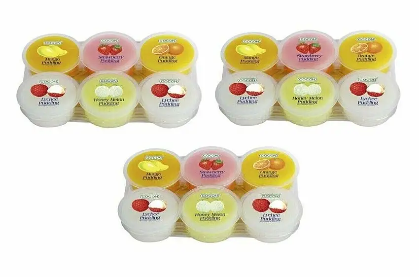 Pamai Pai® Dreierpack: 3 x 480g Dessert Nata de Coco Kokosnuss Gel Mango Litschi Erdbeer Melone Bunt