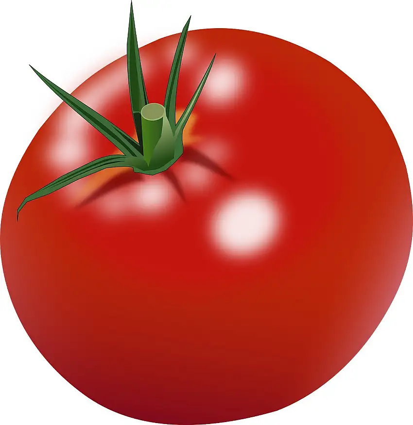 Tomaten rund, schnittfest und günstig / 6 kg Karton