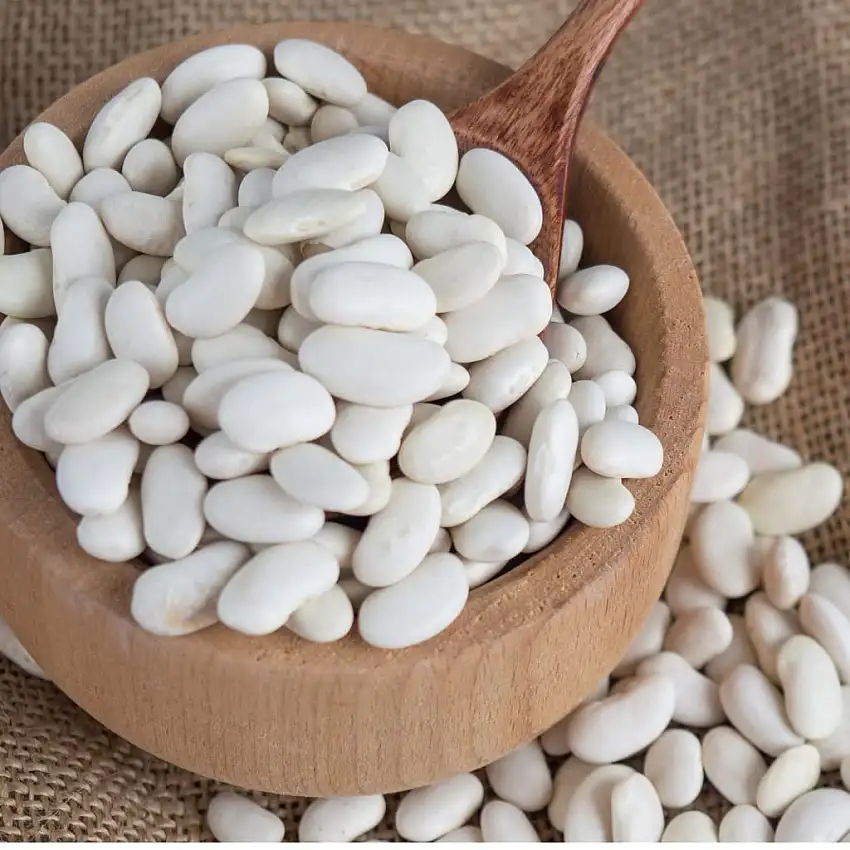 Soleilfood 5 kg weiße Bohnen getrocknet white beans Hülsenfrüchte Fasulye GMO frei feinste Qualität