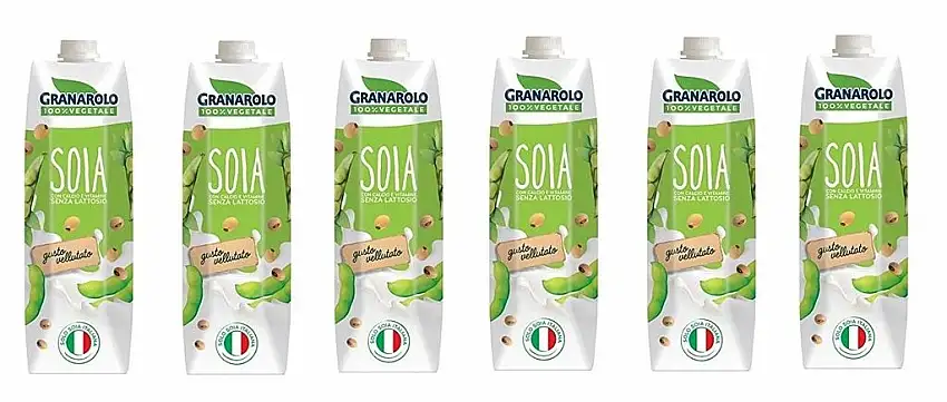 6x Granarolo Latte di Soia Vellutato 100% vegetale pflanzliche Sojamilch 1Lt Laktosefrei
