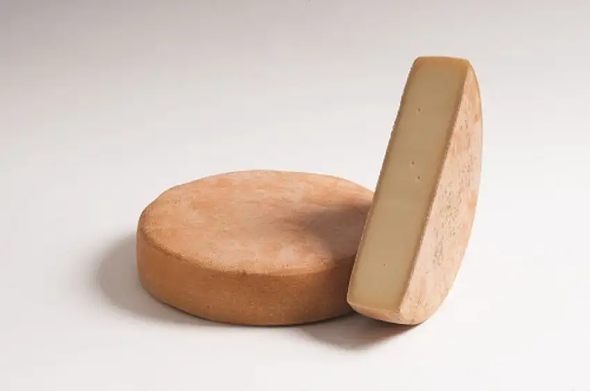 Latemar Käse Hofkäserei Learner ca. 900 gr.
