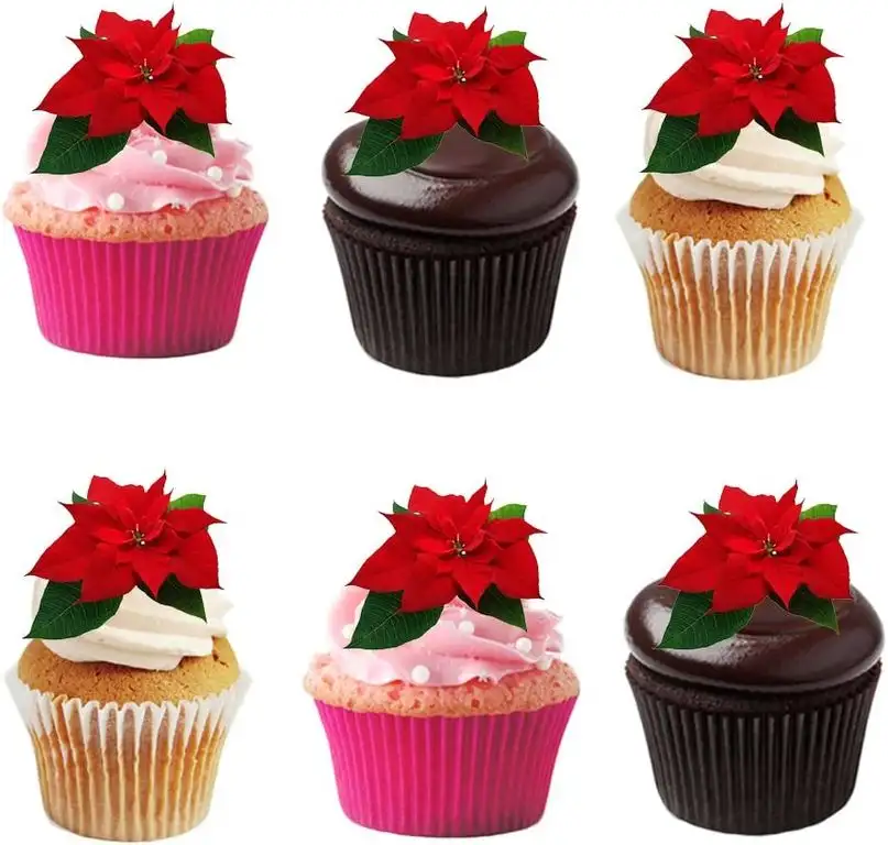 24 rote, Winter, Weihnachtssterne, Blume, essbar, Waffelpapier, Kuchendeko, Dekorationen.