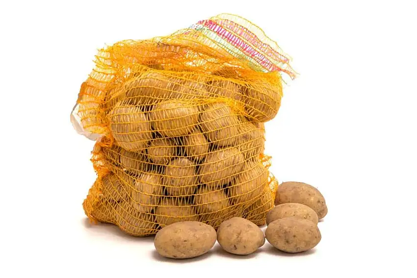 Premium Speisekartoffel Belana 25 kg im Sack, festkochend, gelbgoldene Salzkartoffel - Kartoffel aus dem Niederrhein, ideal für Kartoffelsalat, Kartoffel Gratin, Pommes Frites, Bratkartoffel