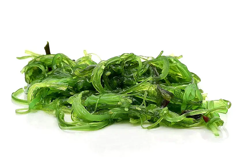 Goma Wakame - Seealgensalat mit Sesam - verzehrfertig in würziger Marinade - vollendet mit Chili, Essig und Sojasauce - 250 Gramm