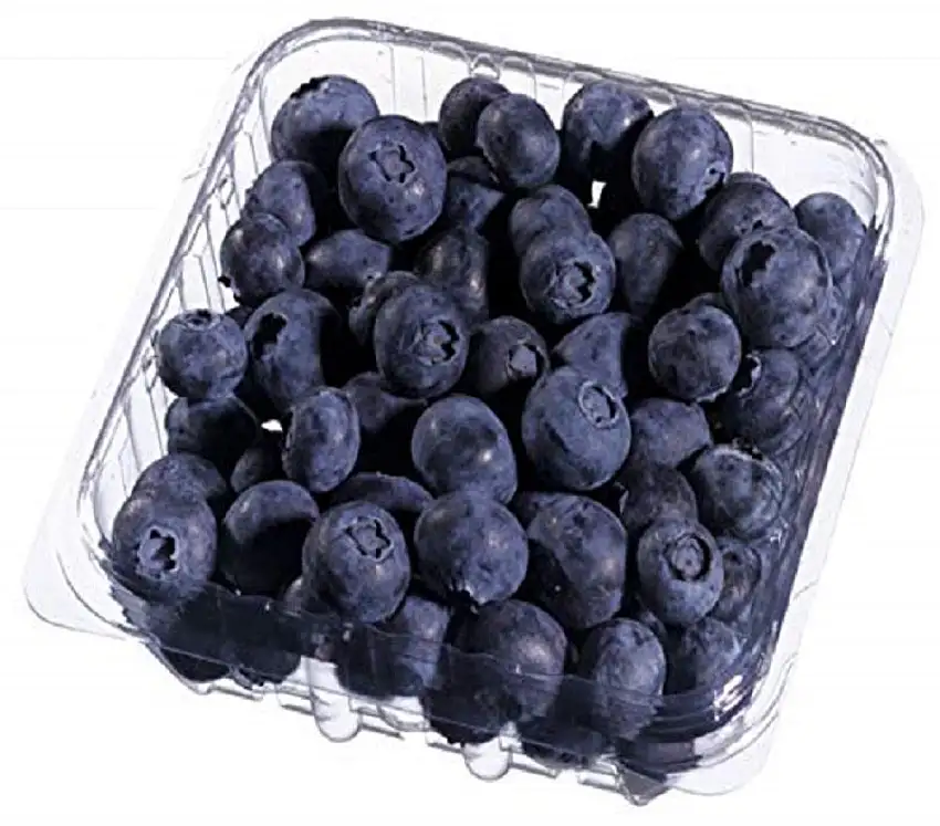 Bio Heidelbeeren, 125 g