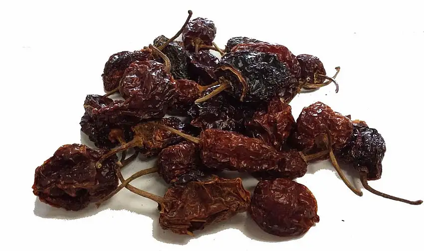 Habanero Chili - CHILLIESontheWEB (100g)