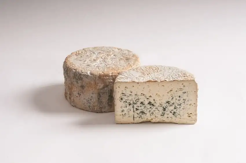 Edelpilz Edelschimmel Ennstalmilch ca. 650 gr.