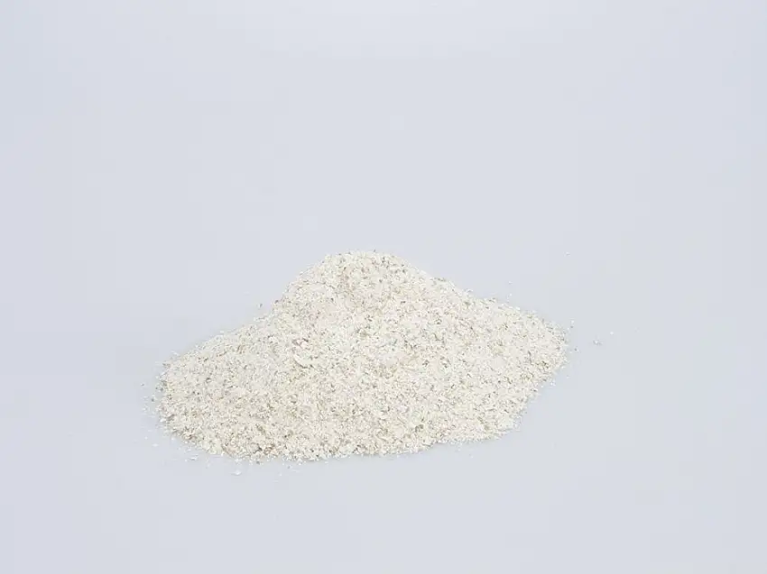 Bio Roggenschrot fein frisch gemahlen 1 kg
