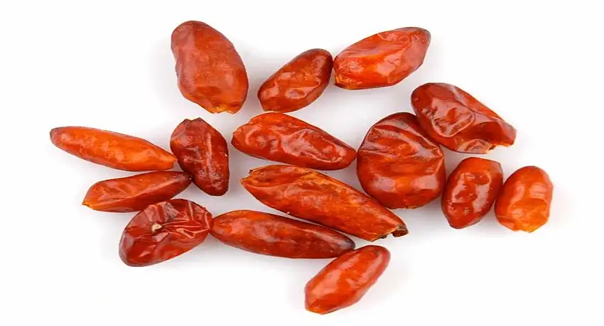 Pequin Chili - CHILLIESontheWEB (200g)