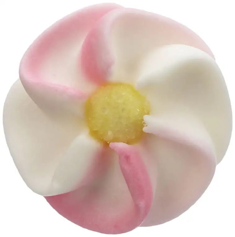 Günthart 2005 Apfelblüten, rosa, 100 stk (1 x 256 g)