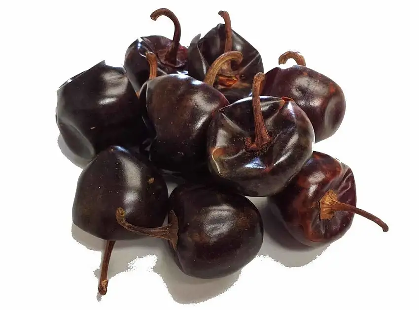 Cascabel Mexikanisch Chili - CHILLIESontheWEB (200g)