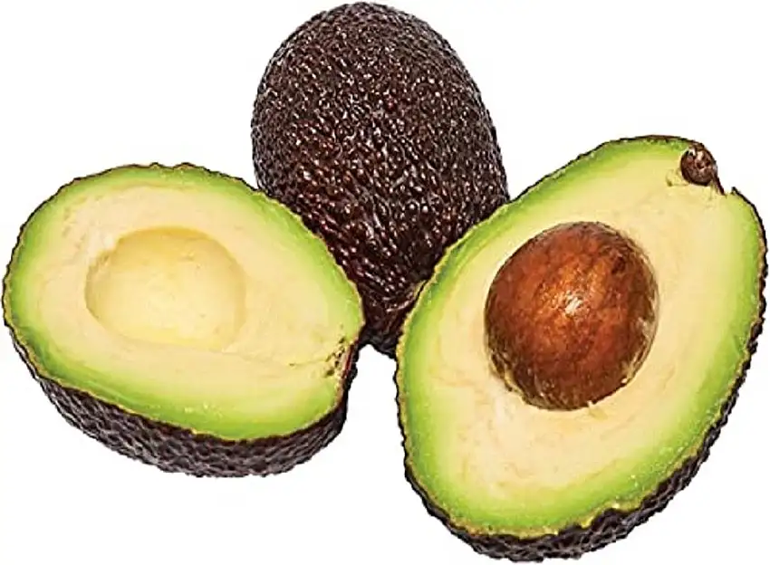 Bio Avocado, Stück