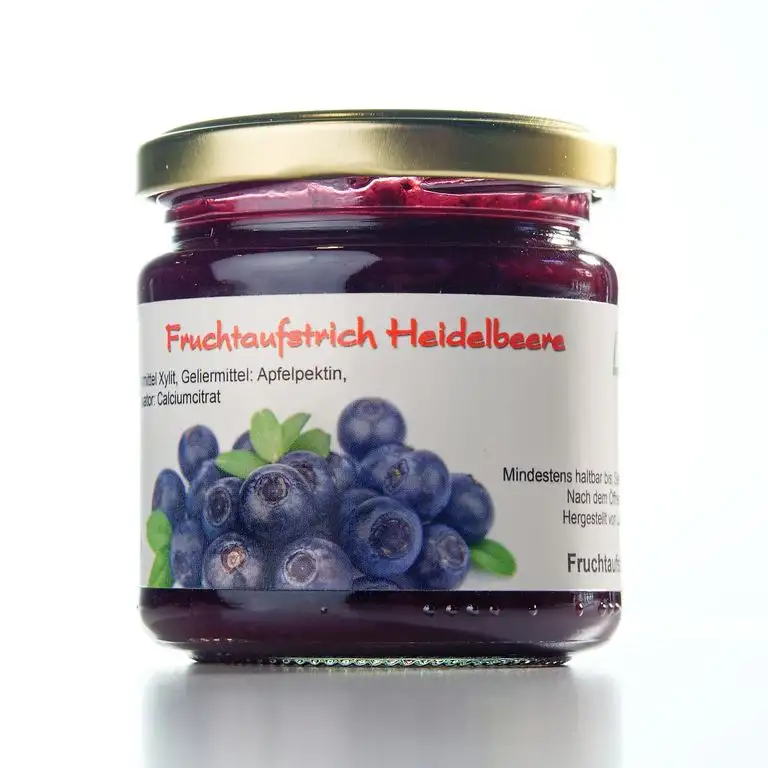 Xylit Fruchtaufstrich"Heidelbeere" ohne Zuckerzusatz, nur mit Xylit gesüßt, 75% Fruchtanteil (mehr als Marmeladen), Low Carb, 200 g