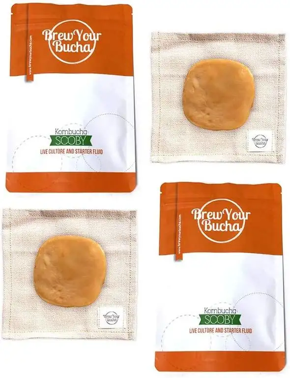 Eswai Designs DE - Brew Your Bucha Kombucha SCOBY mit Starter Fluid (2 SCOBY)