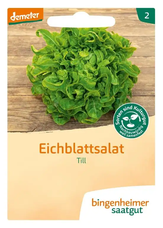 Bingenheimer Saatgut AG Bio Pflücksalat Till (2 x 1 Stk)