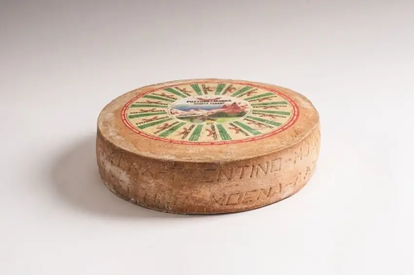 Puzzone di Moena Caseificio Soc. di Predazzo e Moena ca. 500 gr.