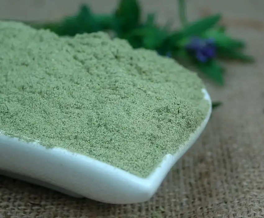 Naturix24 – AlfaAlfa, Luzernekraut gemahlen – 500g Beutel