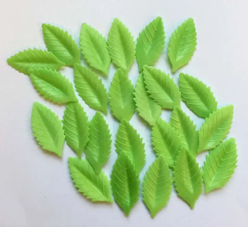 Wunderschöne essbare Kuchendekorationen- 24 Grüne 4cm x 2cm Blätter / 24 Edible 4cm by 2cm Wafer Leaves