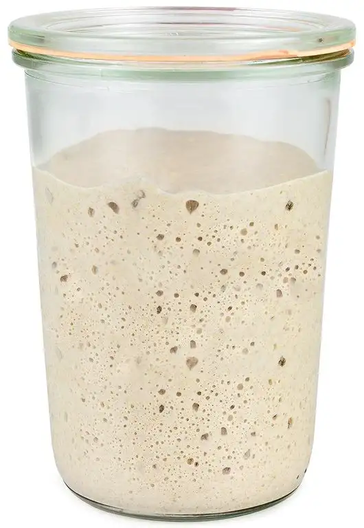 Bio Sauerteig (Roggensauer) | aus 100% Demeter Roggenmehl | frischer Natursauerteig – perfekt für Brote oder als Anstellgut – Inhalt: 300g Roggensauerteig