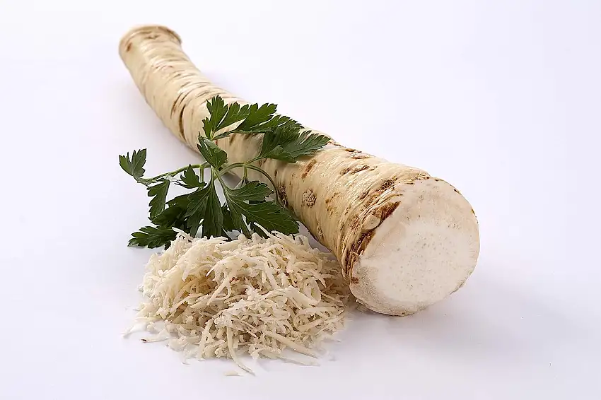 Meerrettich | Kren | Horseradish - Frische Stangenware - gewaschen [pro Kilo]