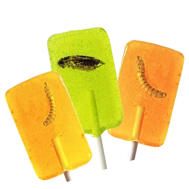 SNACK insects Lutscher mit echten Insekten im Lolli, 3 Insektenlutscher je 20g I essbare Insekten Lutscher