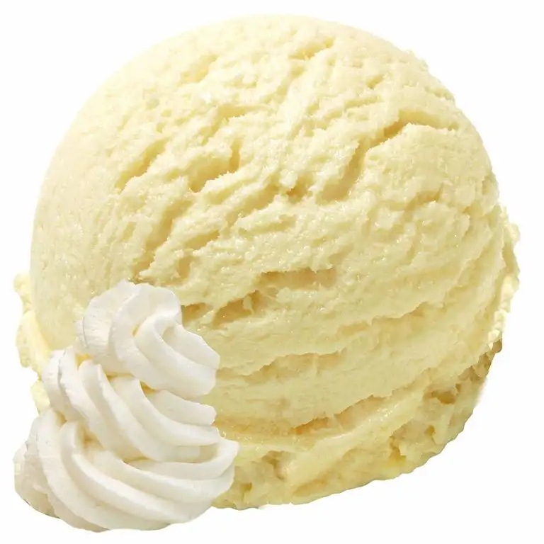 1 Kg Vanille Sahne Geschmack Eispulver VEGAN - OHNE ZUCKER - LAKTOSEFREI - GLUTENFREI - FETTARM, auch für Diabetiker Milcheis Softeispulver Speiseeispulver Gino Gelati