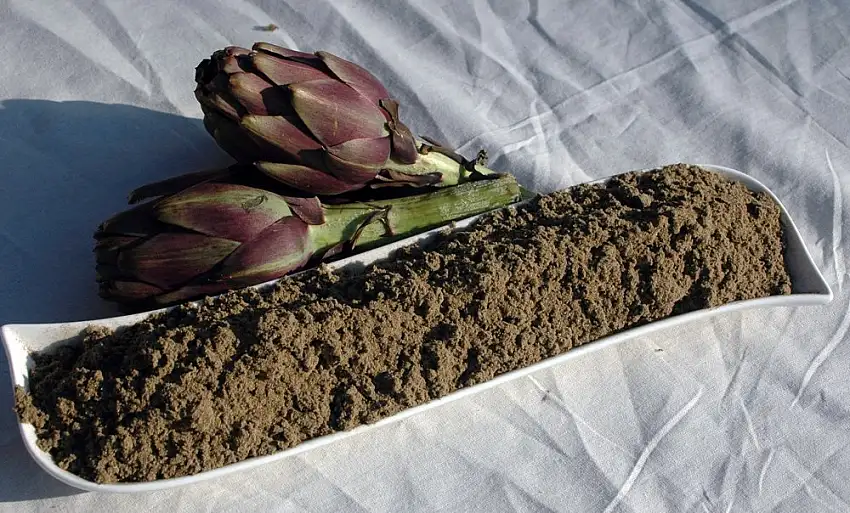 Naturix24 – Artischockentee, Artischockenkraut gemahlen – 250g-Beutel