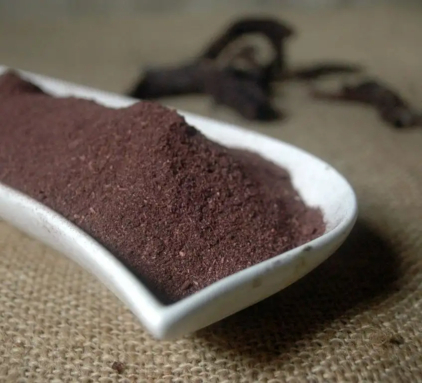 Naturix24 – Alkannapulver, Alkannawurzel gemahlen – 100g-Beutel