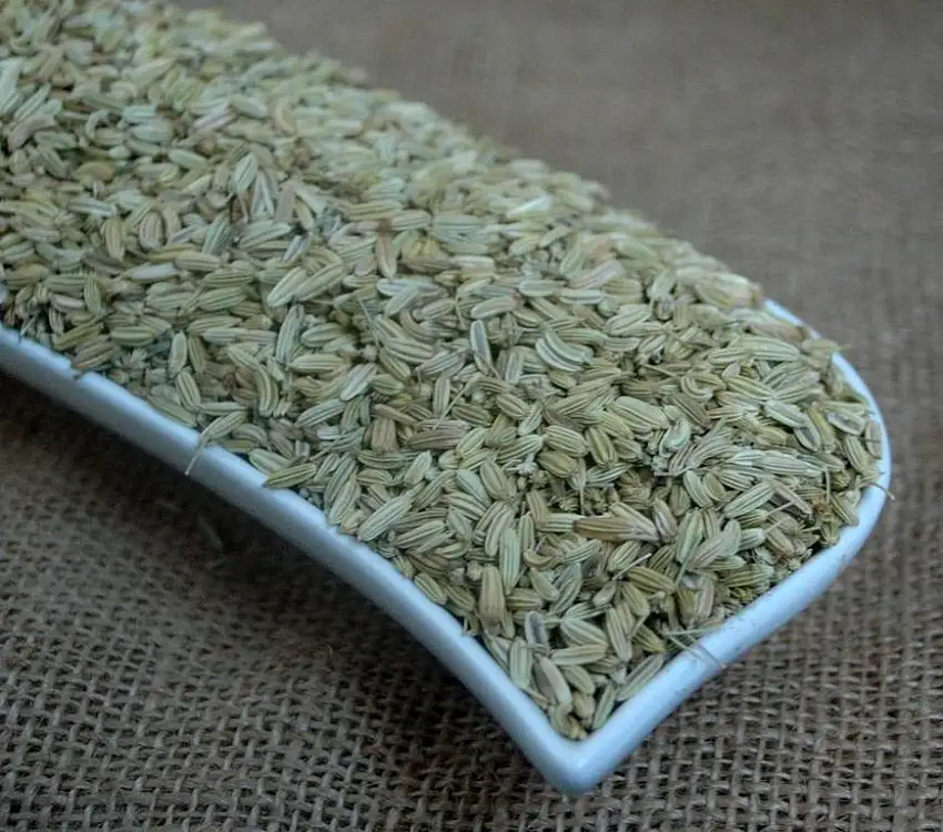Naturix24 – Fenchel süß ganz – 500 g Aromaschutzbeutel