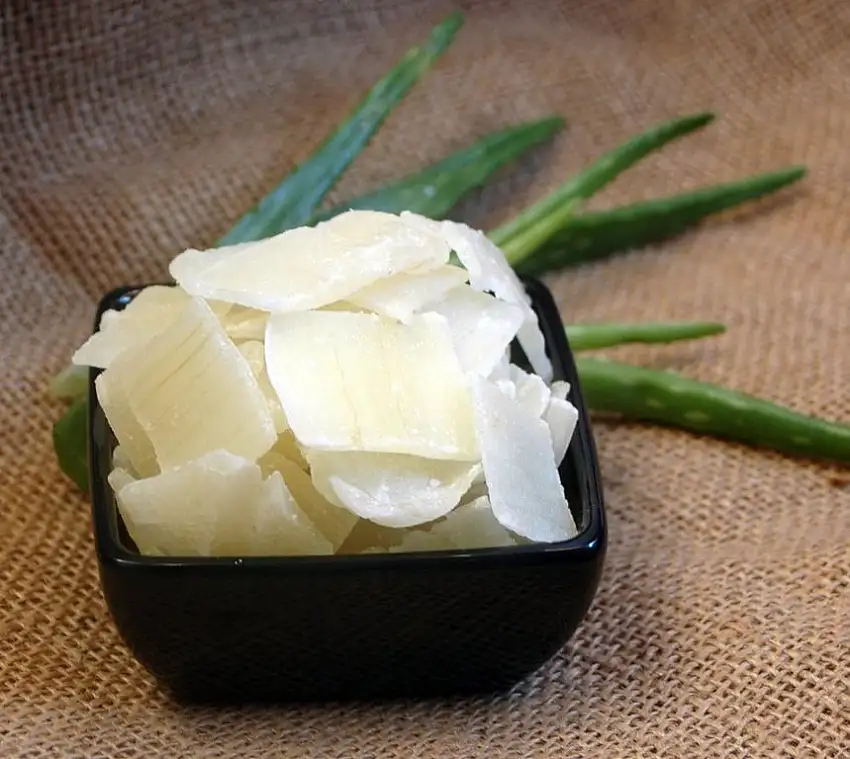 Naturix24 – Aloe vera Scheiben gezuckert und getrocknet – 1 Kg Beutel