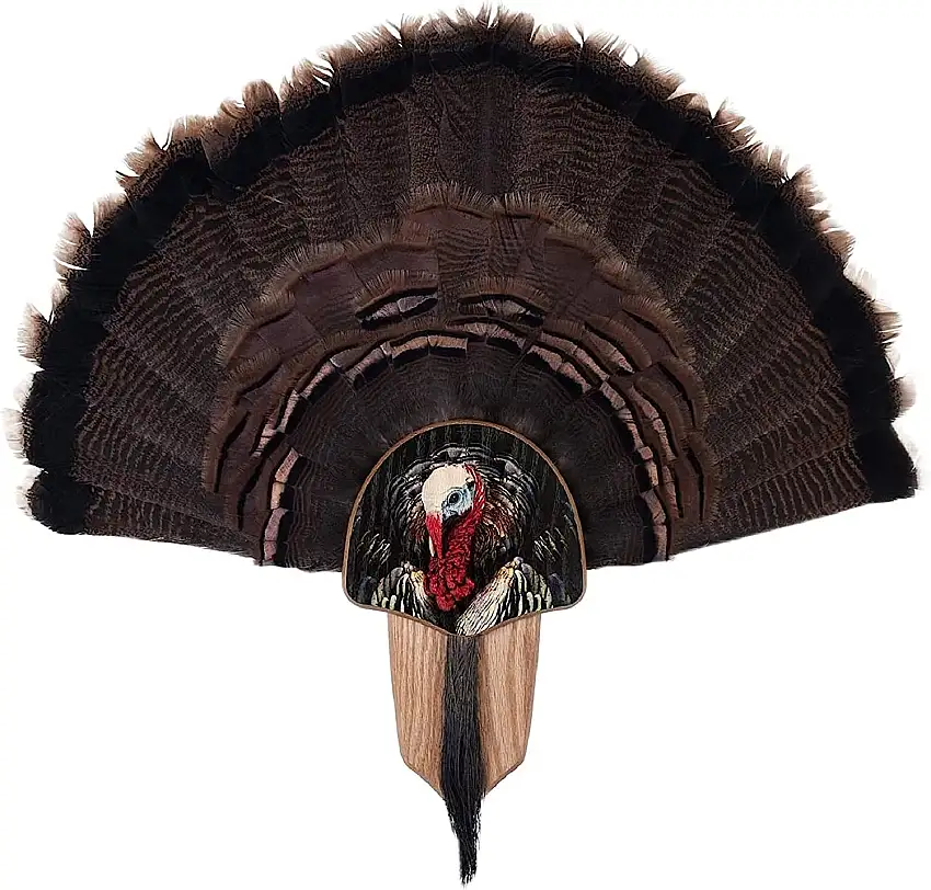 Walnut Hollow Country Türkei Lüfterhalterung & Display-Kit Eiche mit Türkei Profilbild