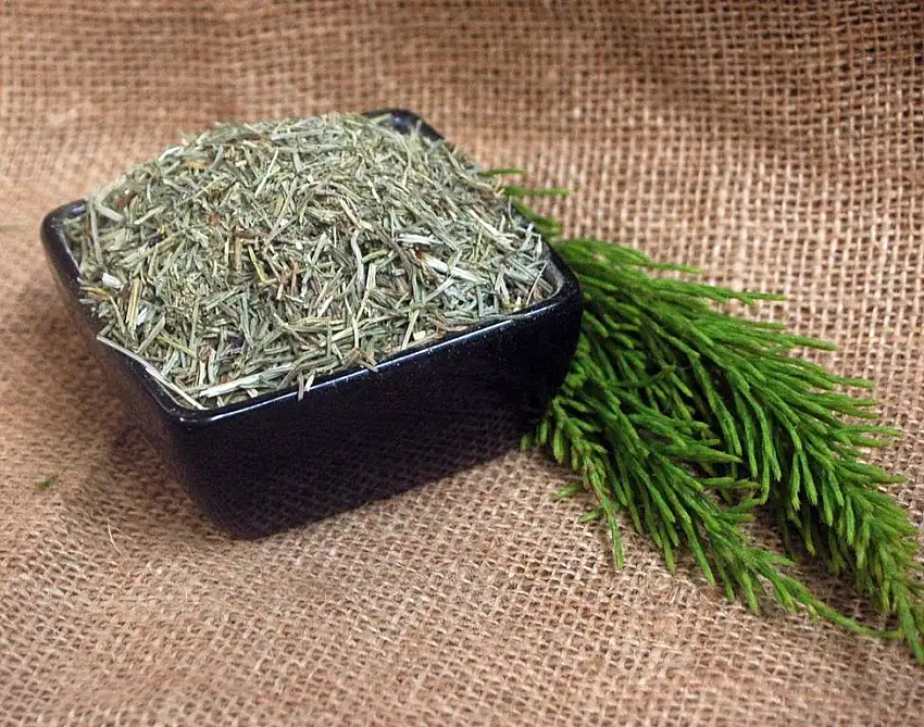 Naturix24 – Schachtelhalmtee, Schachtelhalm geschnitten – 100 g Beutel