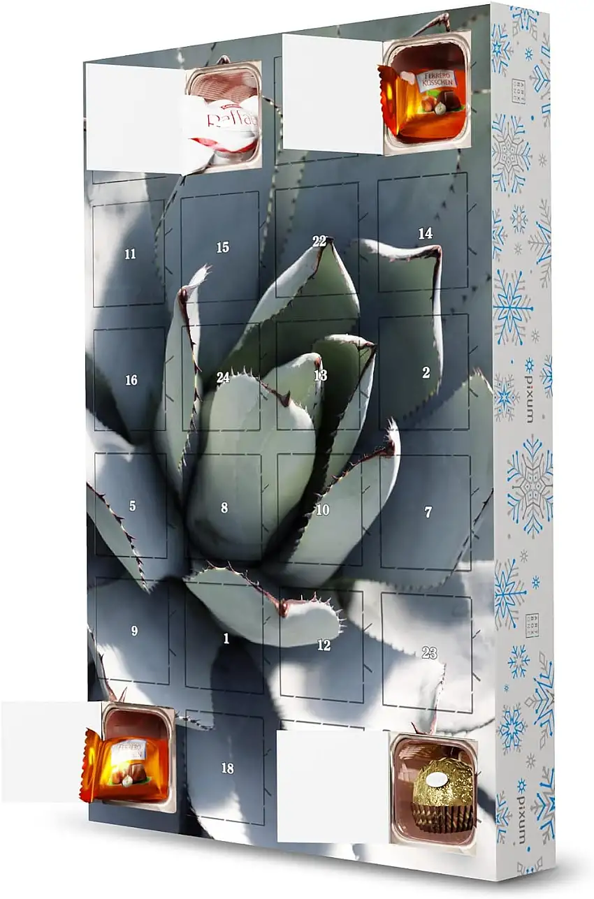 artboxONE Adventskalender mit Pralinen von Ferrero Agave Pastell Grün Adventskalender Natur
