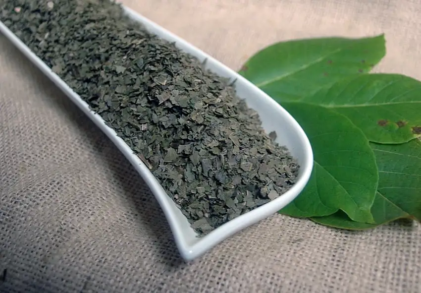 Naturix24 – Walnussblättertee, Walnussblätter geschnitten – 500 g-Beutel