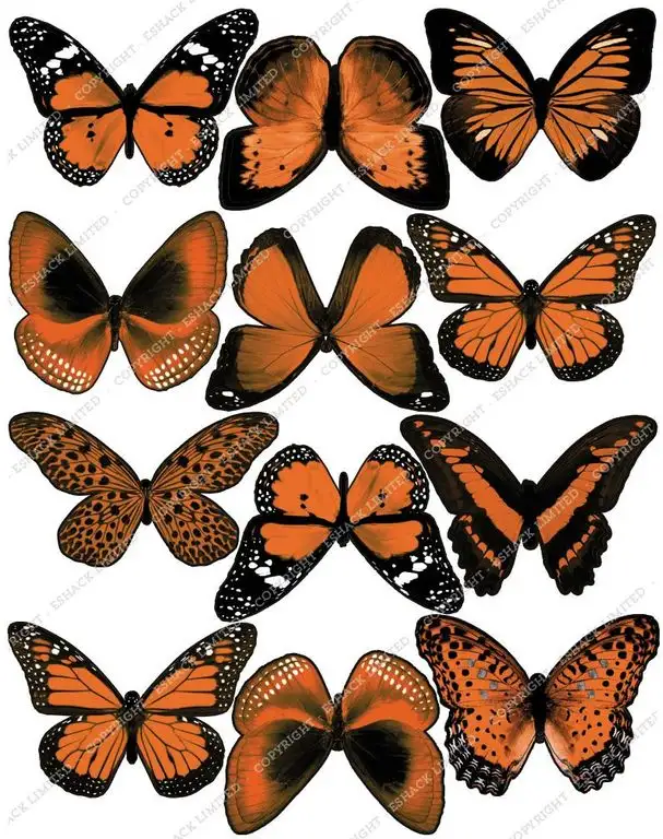 Cakeshop 12 x Vorgeschnittene Orange Essbare Schmetterlingskuchen Topper (Tortenaufleger, Bedruckte Oblaten, Oblatenaufleger)