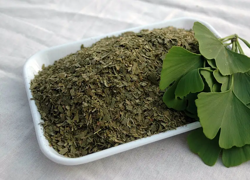 Naturix24 – Ginkgoblättertee, Ginkgoblätter geschnitten – 500g-Beutel