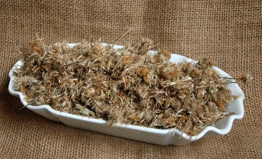 Naturix24 – Arnikablütentee Arnikablüten mex. ganz – 100 g-Beutel